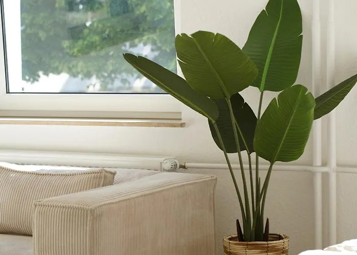 Appartement Neu - Naehe Dus, Cgn Und Hbf *